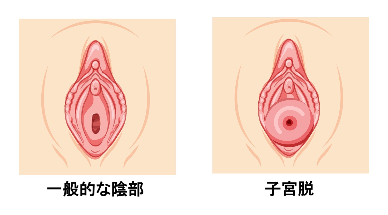 藤井 美穂 - ドクターズボイス