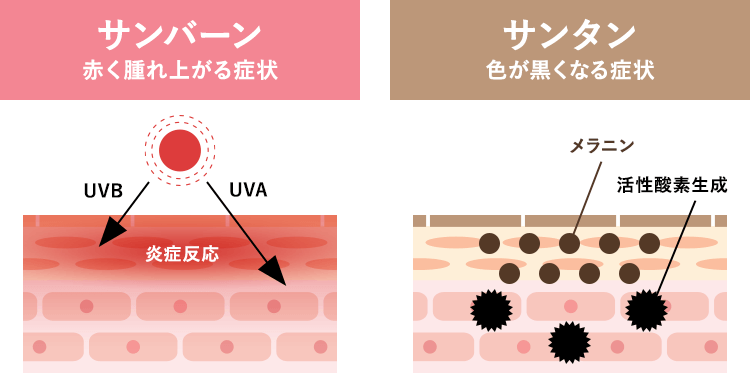 肌を白くするiPhone加工アプリ！これで美肌をゲット