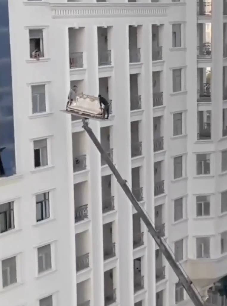 巨大物恐怖症 - SearchX