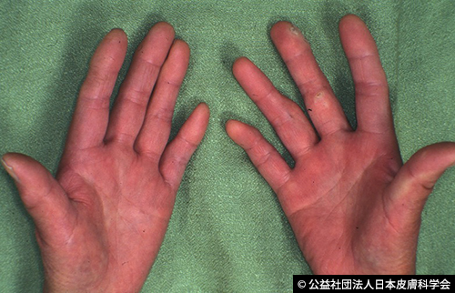 そよう病院だより