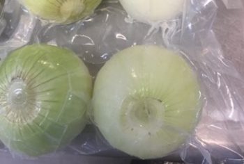 病害虫・生理障害情報 野菜栽培での病気 害虫 生理障害情報タキイの野菜タキイ種苗