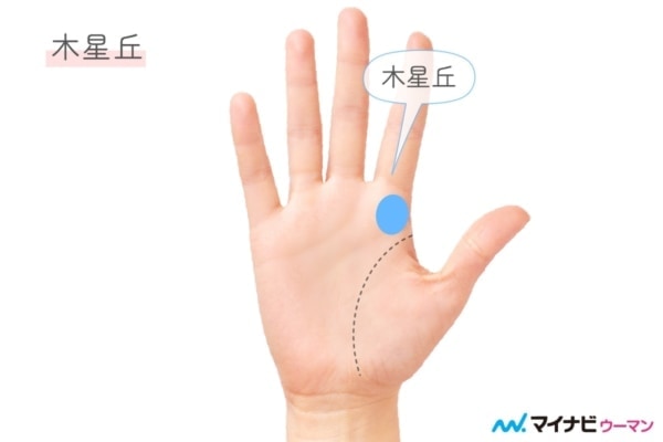 手相の見方が分かると自分を知れる重要な掌線 しょうせん を知ってみよう – LITORA リトラ