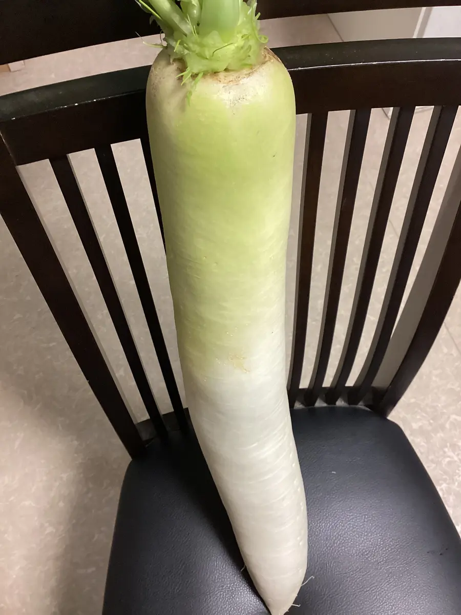 大根足の写真・画像素材 - Snapmart スナップマート