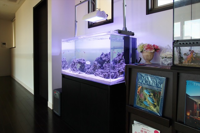 50事例で違いがわかる・熱帯魚水槽を自宅・個人宅に設置したらこんなに素敵東京アクアガーデン