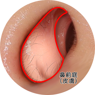 鼻の毛穴の黒ずみをとる方法とは？ワセリンで簡単にきれいにする方法を徹底解説ANS. magazine