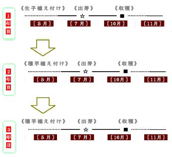 離乳食の進め方月齢別の回数や量の目安。レシピや早見表も紹介！Sodate ソダテ