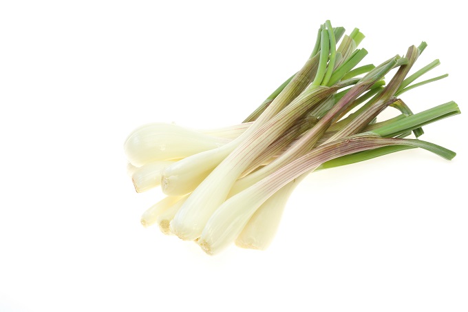 薬用植物ー生薬ー薬草ー健康茶ー防風ーぼうふうーボウフウについてーやなぎ堂薬局