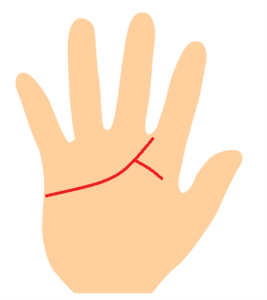 手相『運命線』を学ぼう！2股に枝分かれ バツ×印が!? パターン別図解- zired