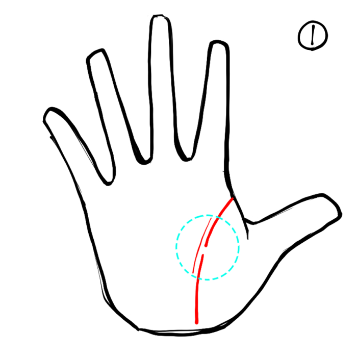 あなたの生命線のパターンはどれ？ 無料の手相占い♪