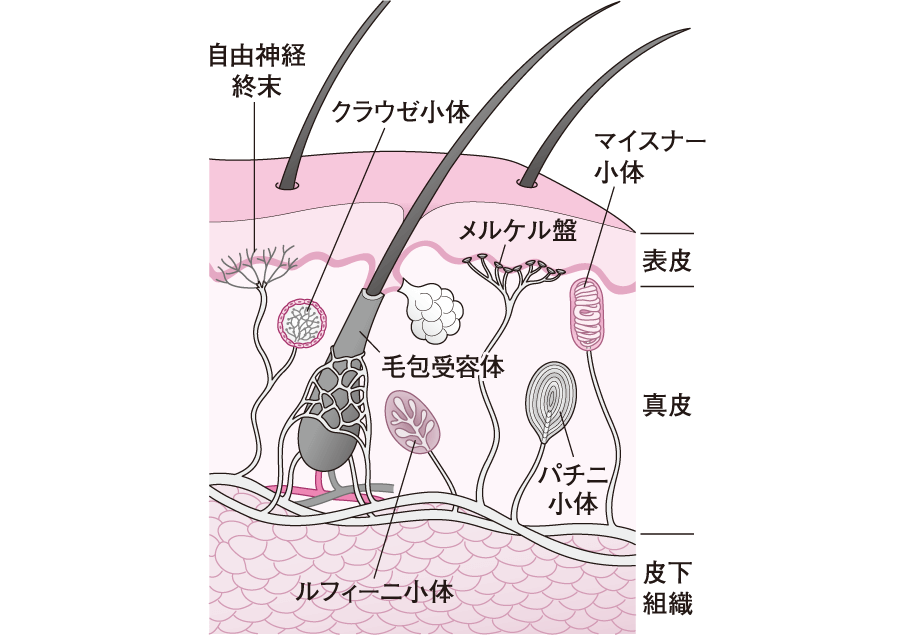 終末観の民俗学 ちくま学芸文庫宮田登 著愛書館中川書房 神田神保町店古本、中古本、古書籍の通販は「日本の古本屋」日本の古本屋