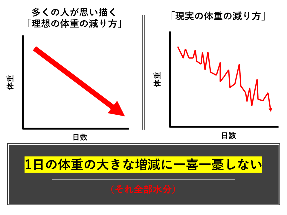 陸上競技部の選手たちが各大会で好成績 : 東海大学新聞WEB版