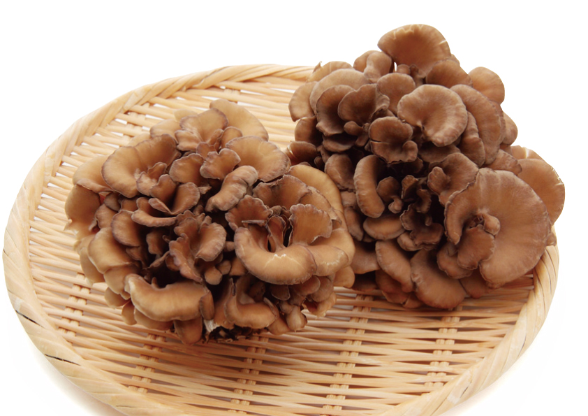 季節のスピードレシピ 胃腸の疲れを癒す！- 暮らしのタネ