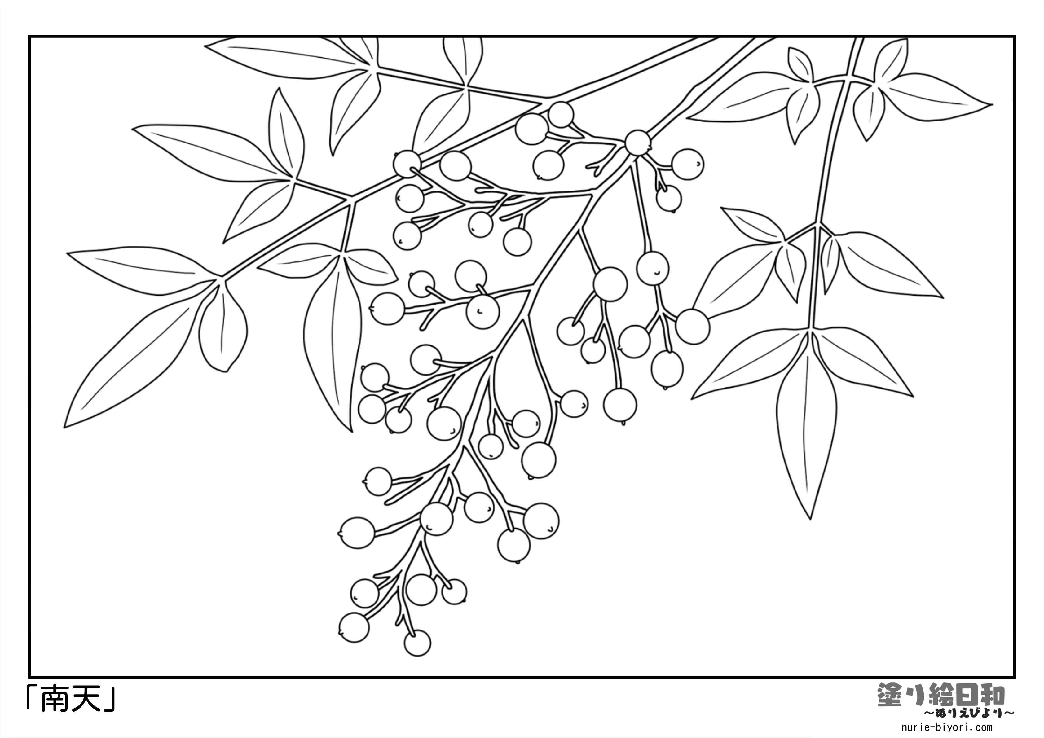 無料の1月のぬりえ お正月 冬ぬりえパーク