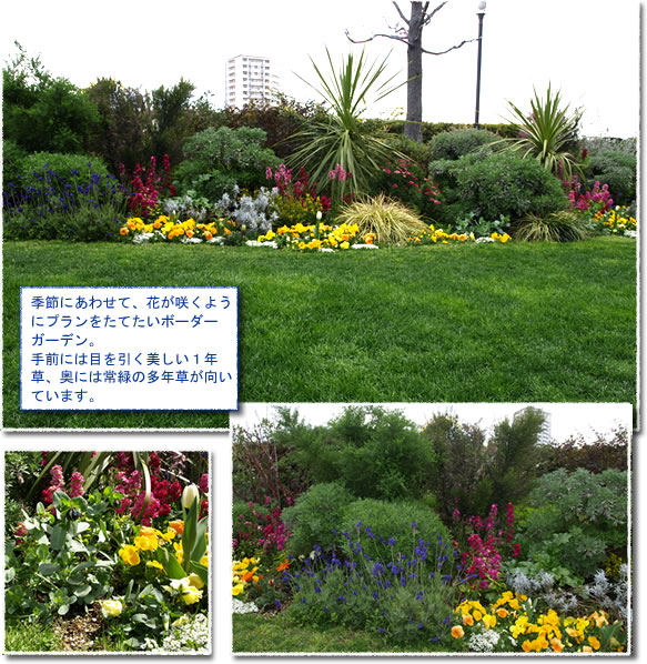 119,582 多年生植物 Stock Photos, High-Res Pictures, and Images - Getty Images