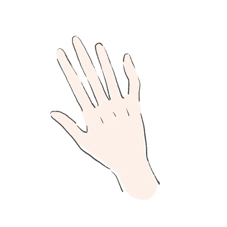 骨格診断企画。自己診断の参考に「3タイプの手」を比較！ : 365日のとっておき家事 Powered by ライブドアブログ