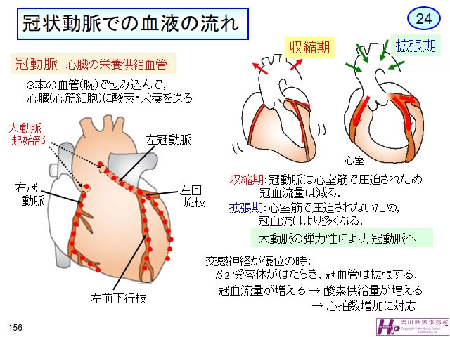 バイオメカニクス研究室研究内容血管のバイオメカニクスに関する研究二軸引張試験機を用いた動脈瘤組織の力学特性の計測