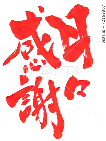 四字熟語「日々感謝」手書き書道色紙額 受注後の毛筆直筆 Y4868楽天