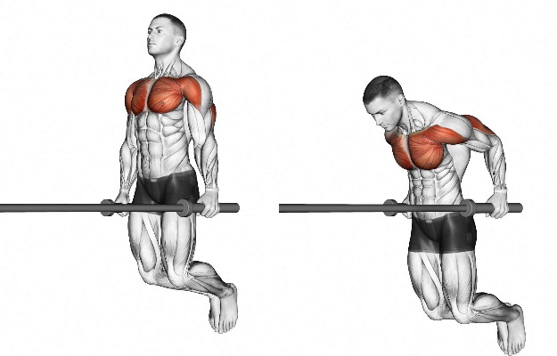 上半身 胸・肩・腕 を鍛えるディップス！効果的な回数・加重方法を解説STYLE UP GYM CHARISFITのブログ