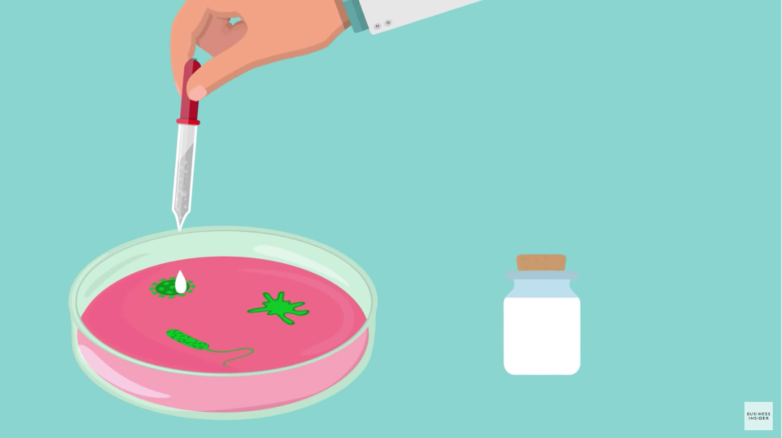 人類の命を救う「青い血」を持つカブトガニを守るため遺伝子工学が用いられている - GIGAZINE