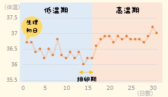 妊娠・出産による変化 その１ ～姿勢～東京都北区でお産ができる出産施設なら東京北医療センター産婦人科