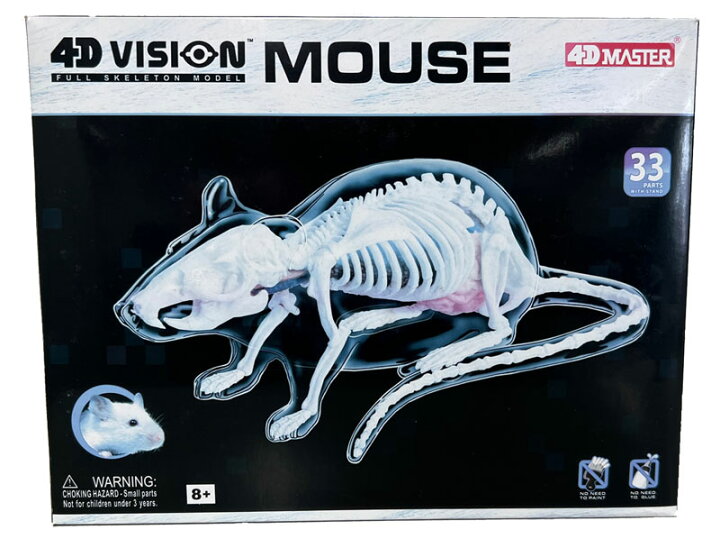 動物解剖学実験足骨格サンプルモデル教育モデルは人間生物学教授獣医