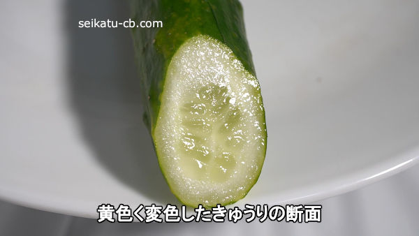 きゅうりが黄色に変色！間違った保存法でこんなことに！ちなみにまだ食べれるの？生活知恵袋