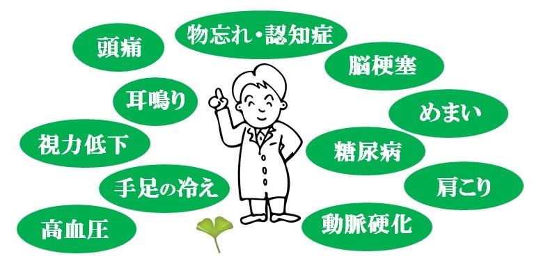 イチョウ葉エキスってどんなもの？サプリメントのヘルシーパスブログ