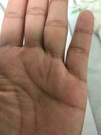 珍しい手相。ますかけ線は天下取りの手相です。 - 車えび料理専門 うすい山荘