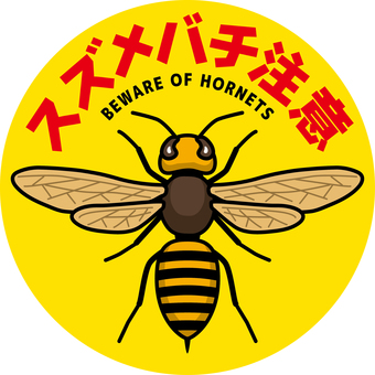 新千里西町にあるマンションの高いところに大きなスズメバチの巣ができてる 11月中には撤去されるみたいTNN豊中報道。２
