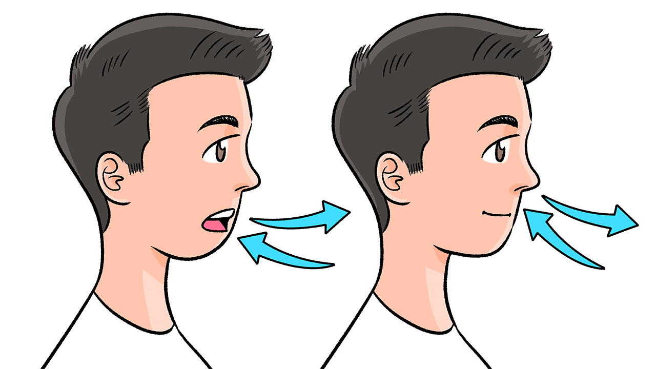 嗅覚は脳神経の一つ」鼻呼吸がランニングに向いている理由RuntripMagazine ラントリップマガジン