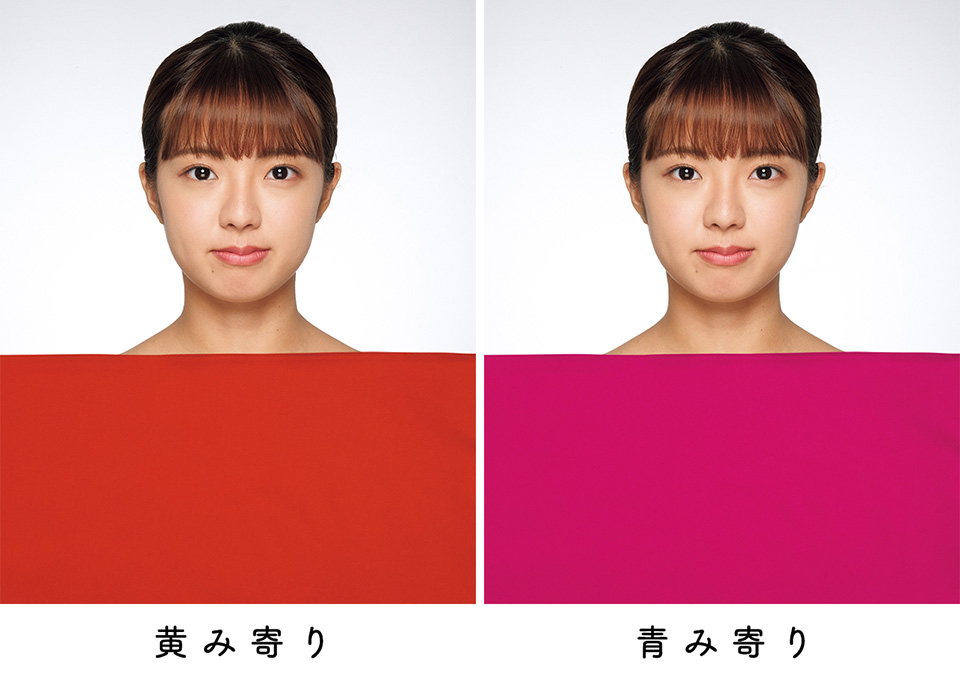 肌色カラースケール日本色研事業株式会社