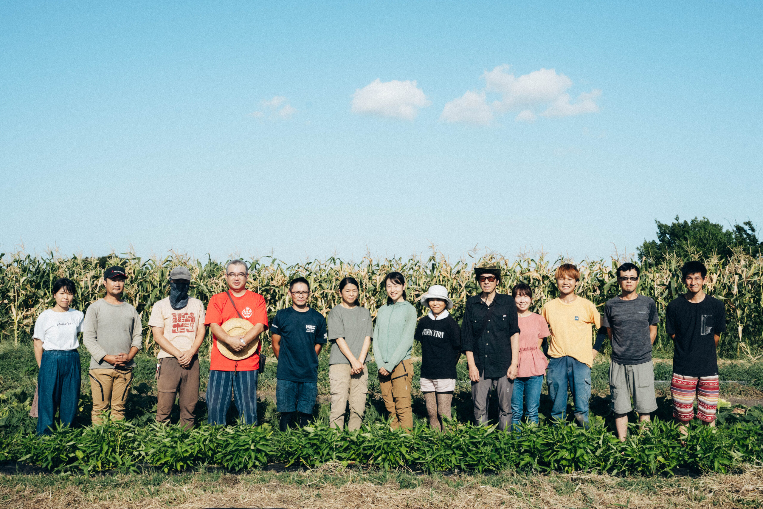 有機的ネットワークの作り方ton960