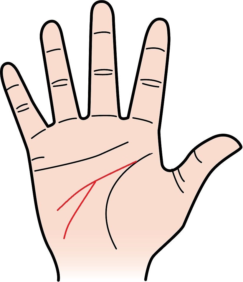 生命線の下が３本枝分かれしている意味は？ 手相占い tesou_hobby