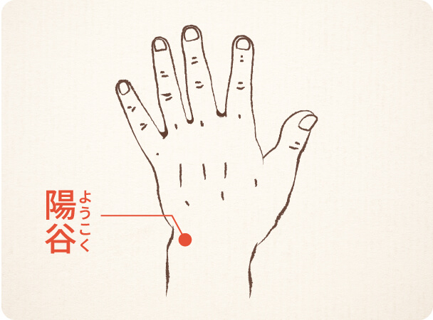 陽池 ようち のツボについてまとめてみた 堺市・富田林の整骨院グループたな骨グループ