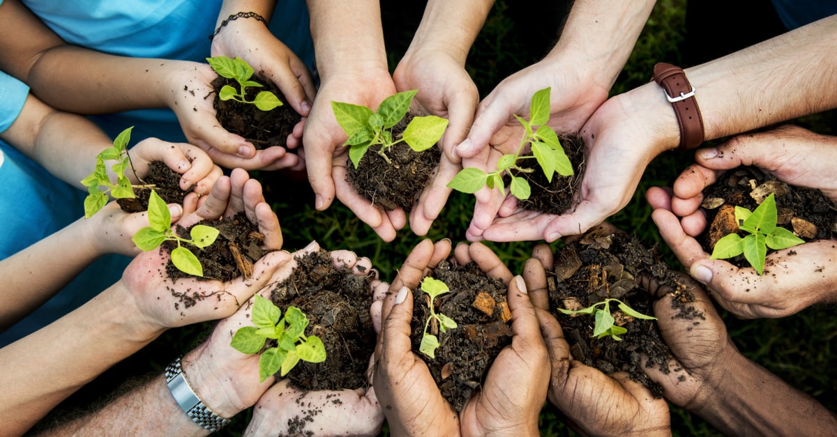西アフリカ・サヘル地域ニジェール共和国における都市の家庭ゴミを利用した荒廃地の修復 - KyotoU Future Commons
