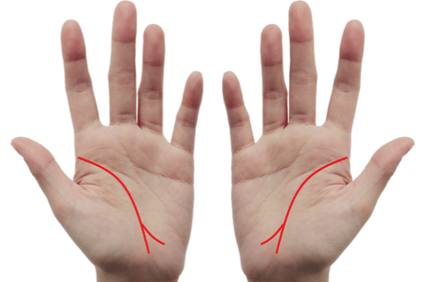 途切れた生命線の意味とは？」業界騒然の新解釈と話題！瀧川雅也さんに学ぶ手相の読み解き方1 3介護ポストセブン