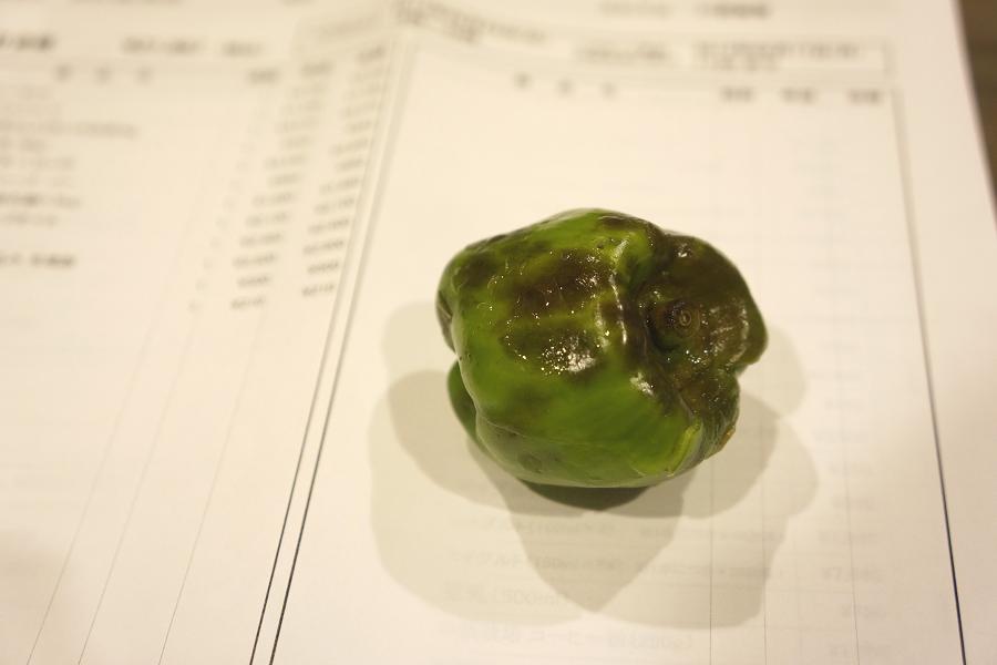 夢占い 野菜が示す夢占いの意味19選！野菜が出てくる夢は吉兆！？BELCY