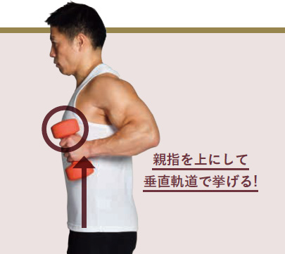 腕橈骨筋の鍛え方 前腕最大でリスト力に大きく関わる筋肉の筋トレ方法アームレスリング器具・パワーリフティング用品・マズレンコ製作所日本正規輸入代理店