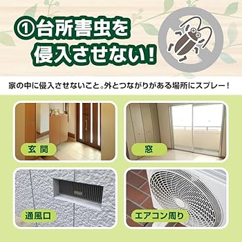 夏はコバエとの戦い肉球でポン