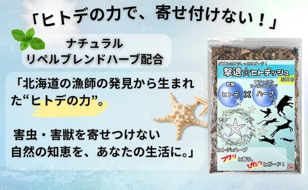 福井のハーブ畠「アウラの丘」からハーブの魅力を全国に届けたい 川瀬咲子 アウラの丘2018 04 02 公開- クラウドファンディングREADYFOR