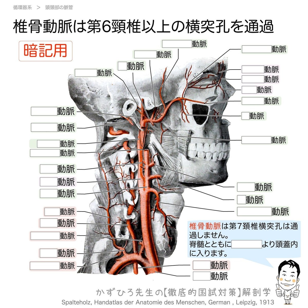 水頭症基礎知識日本二分脊椎・水頭症研究振興財団