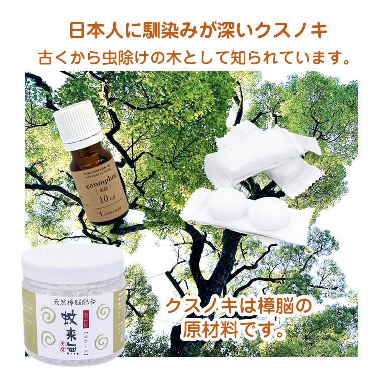 カンフル 天然樟脳 とは？健やかな予防対策とリフレッシュ効果に