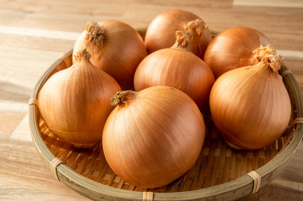 玉ねぎの表面に黒い点！？それ、カビかも？安全な見分け方と対処法ブログ岐阜のカビ取りならカビバスターズ岐阜