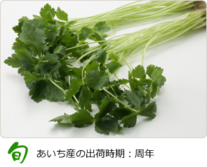 ベジマチ国産やさいの生産者と実需者を結ぶマッチングサイト