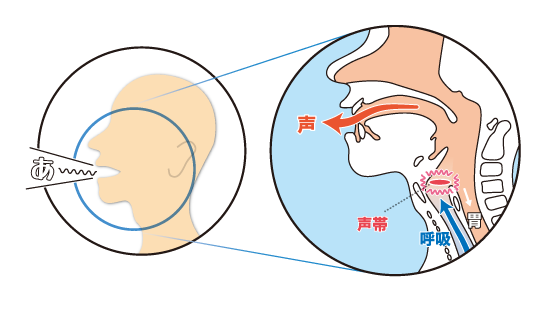 気管切開チューブの取扱い時の注意事項を再整理、製品ごとのサイズ確認やチューブ先端位置の定期的確認など徹底を—PMDAGemMedデータが拓く新時代医療