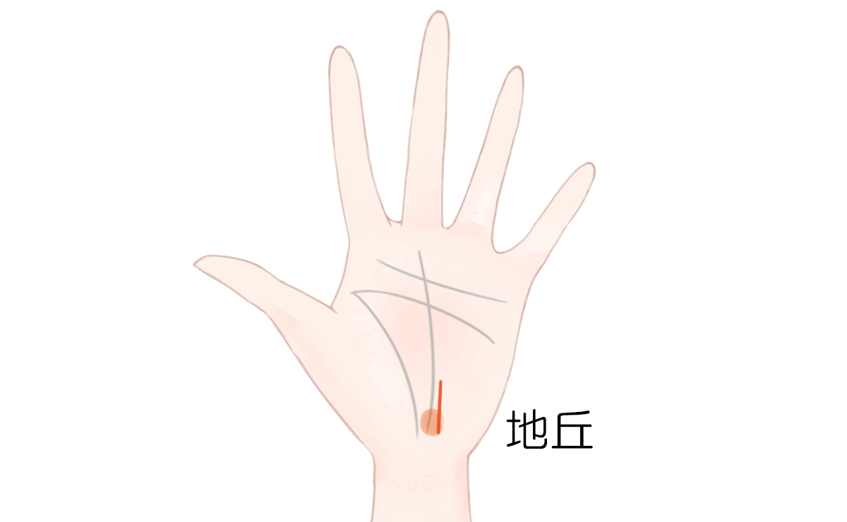 手相占い 「サポート線」がある人は支援者があらわれる 身内の援助を得て成功する手相4つ - 占いTVニュース