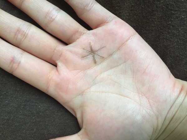 手相占い！幸運の印スター 星紋 の意味13選！パターン別の意味とは？ - 手相占いラボ