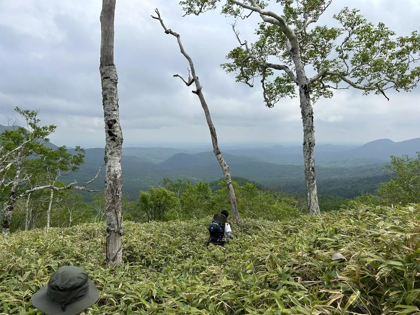 笹薮へ突入！ダニ🕷️の世界にようこそ。させかもさんの標津岳の活動データYAMAPヤマップ