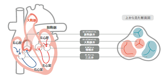 牛だって不妊治療⑦有限会社シェパード中央家畜診療所