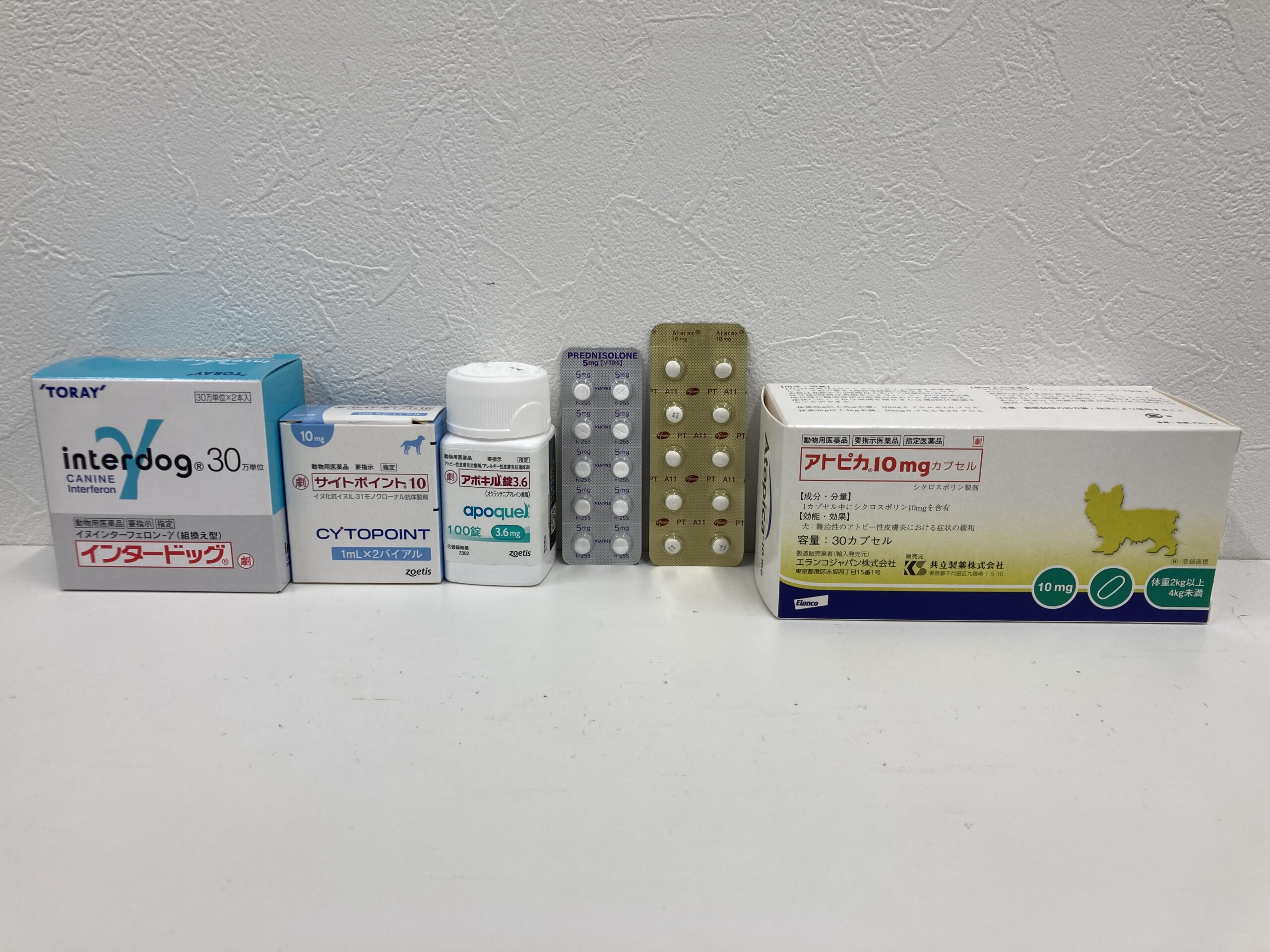 犬の「アトピー性皮膚炎」の薬～動物病院で処方されたお薬ガイド⑥～ワンペディア